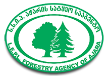 Adjara Forestry Agency